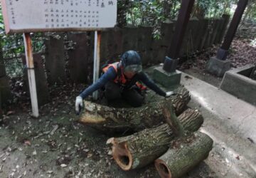 LINE_ALBUM_笛印　住吉神社 宇土市住吉町_230615_10